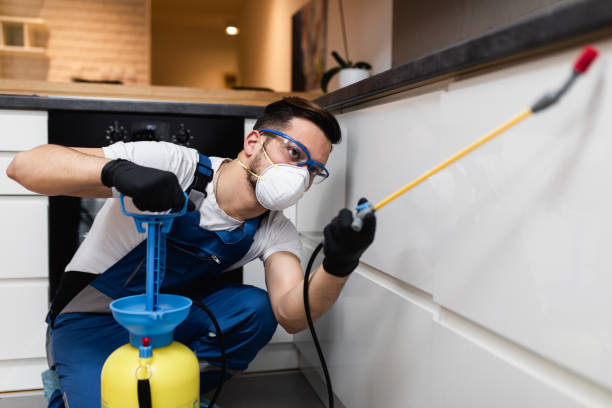 Best Pest Removal Services  in Troy, PA